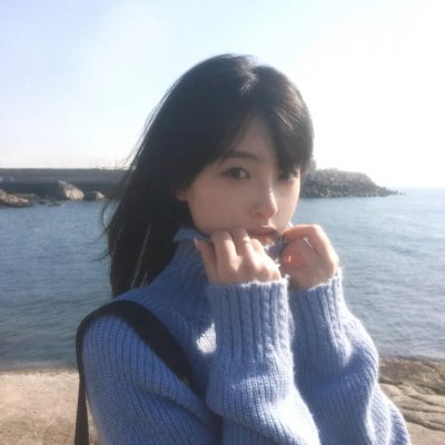 沙鸥